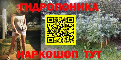 прущие грибы Можга